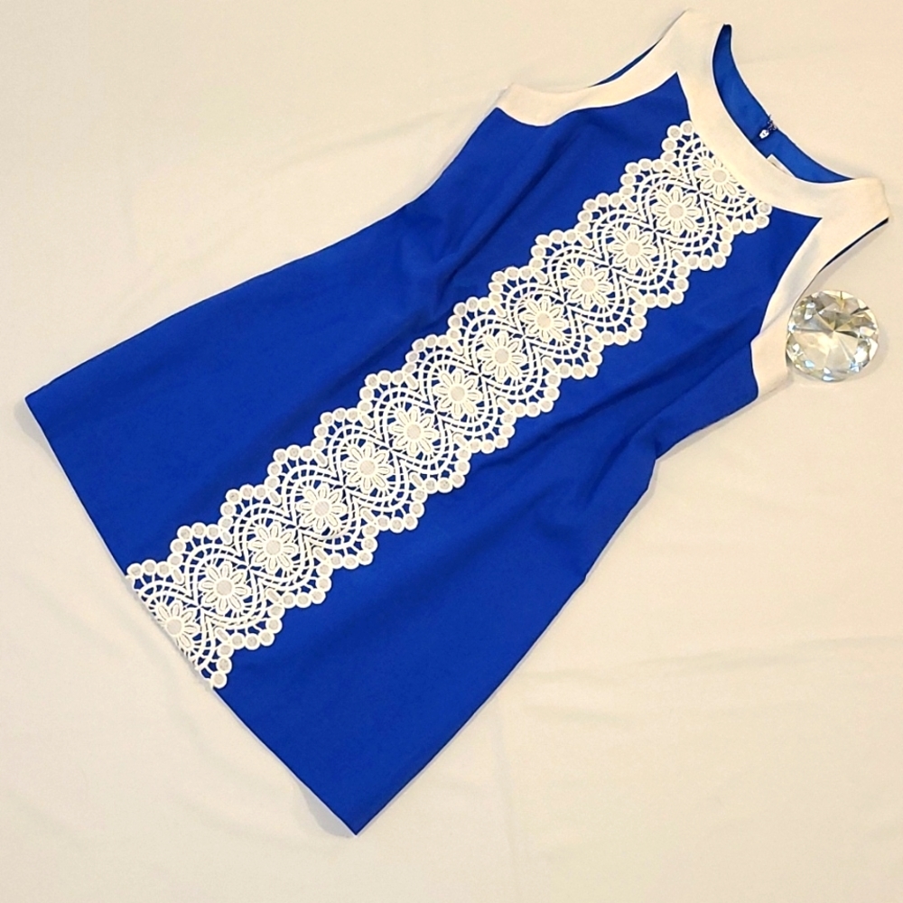 Eliza J Shift Dress (14)
